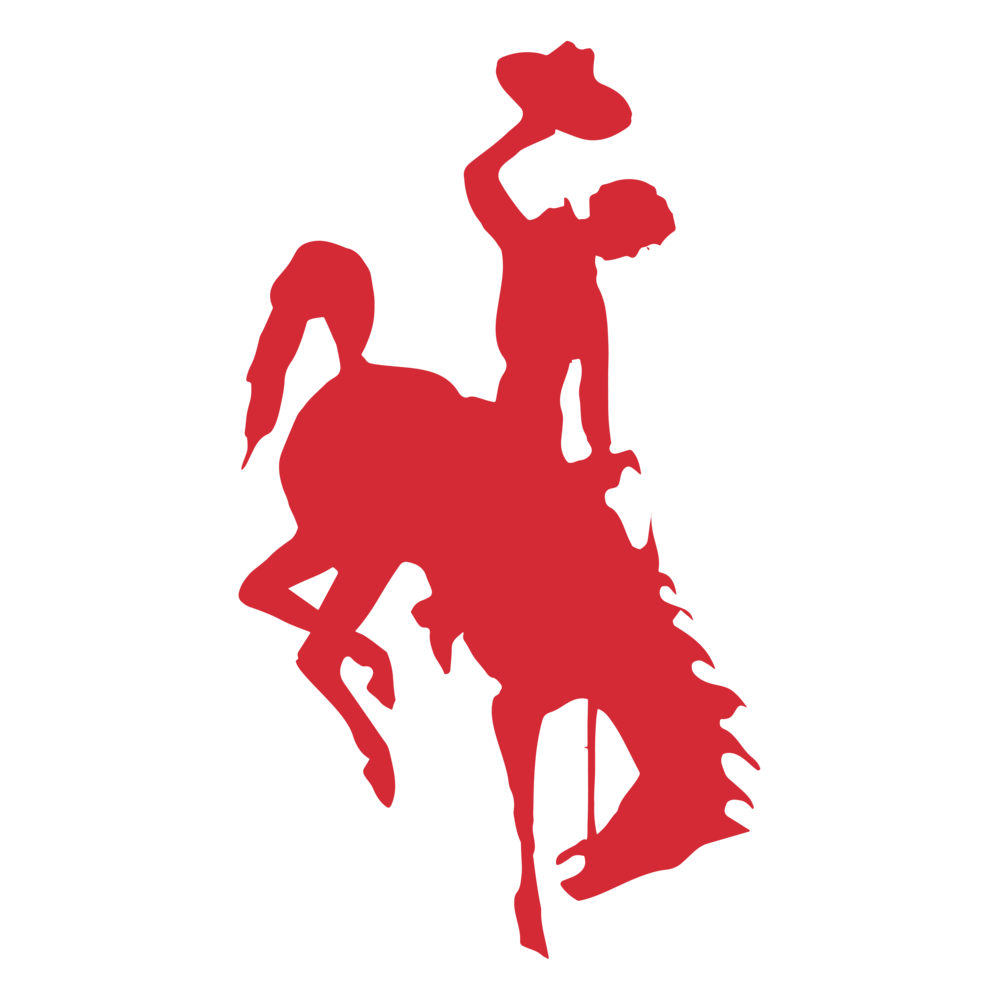 Chaney High School red cowboy logo