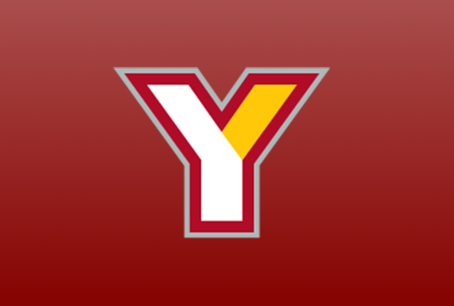 y logo graphic 